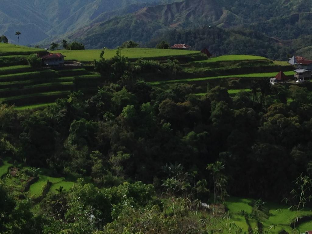 Mayoyao View Inn Banaue Exterior photo